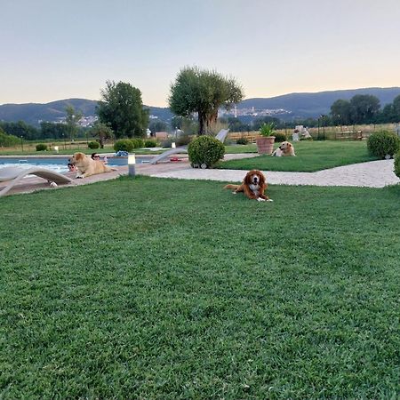 Agriturismo Tenuta Filippi Νάρνη Εξωτερικό φωτογραφία