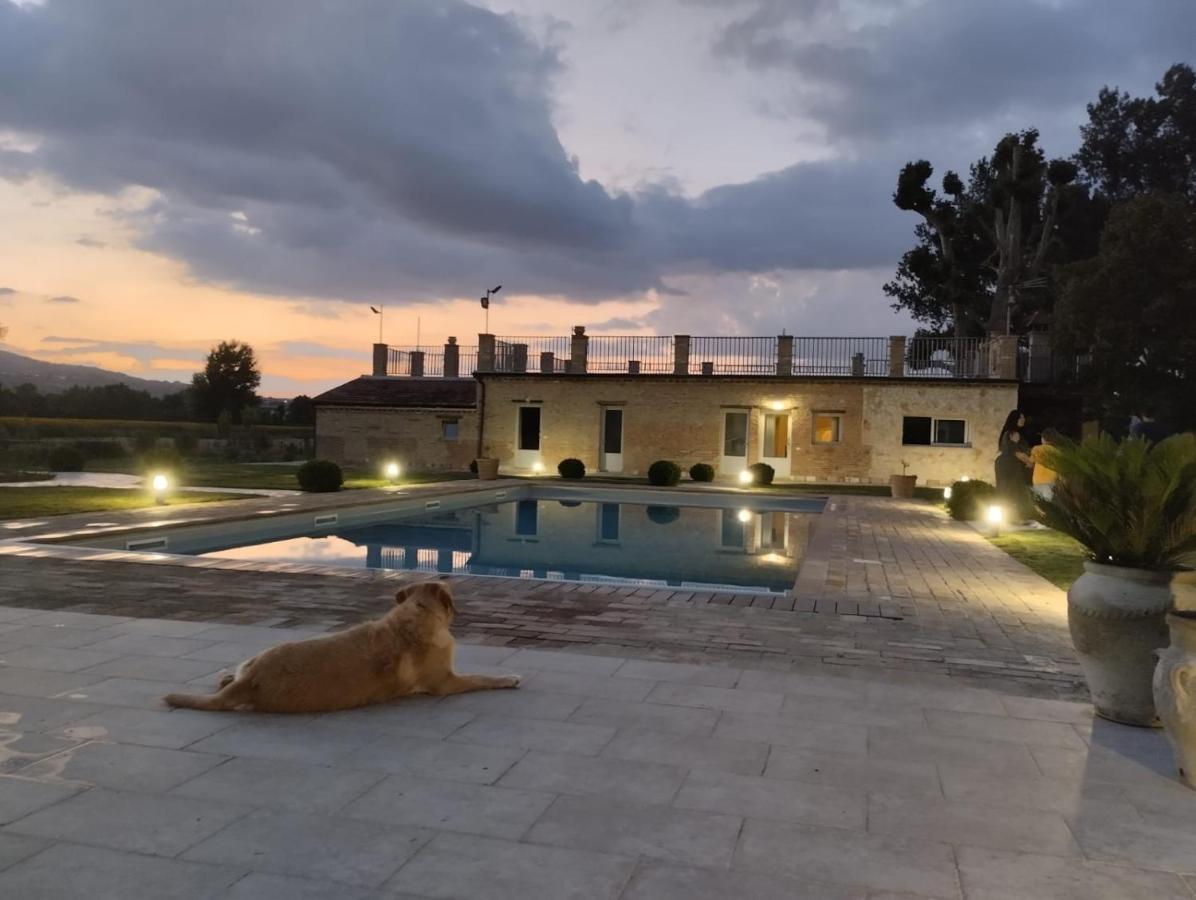 Agriturismo Tenuta Filippi Νάρνη Εξωτερικό φωτογραφία