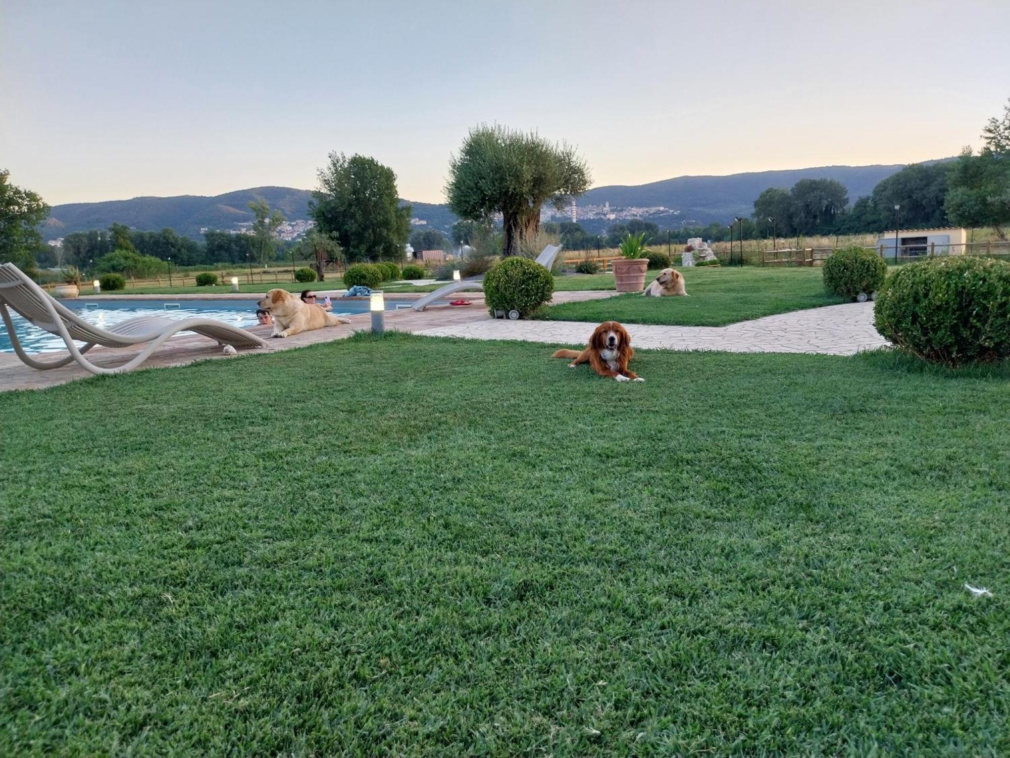 Agriturismo Tenuta Filippi Νάρνη Εξωτερικό φωτογραφία