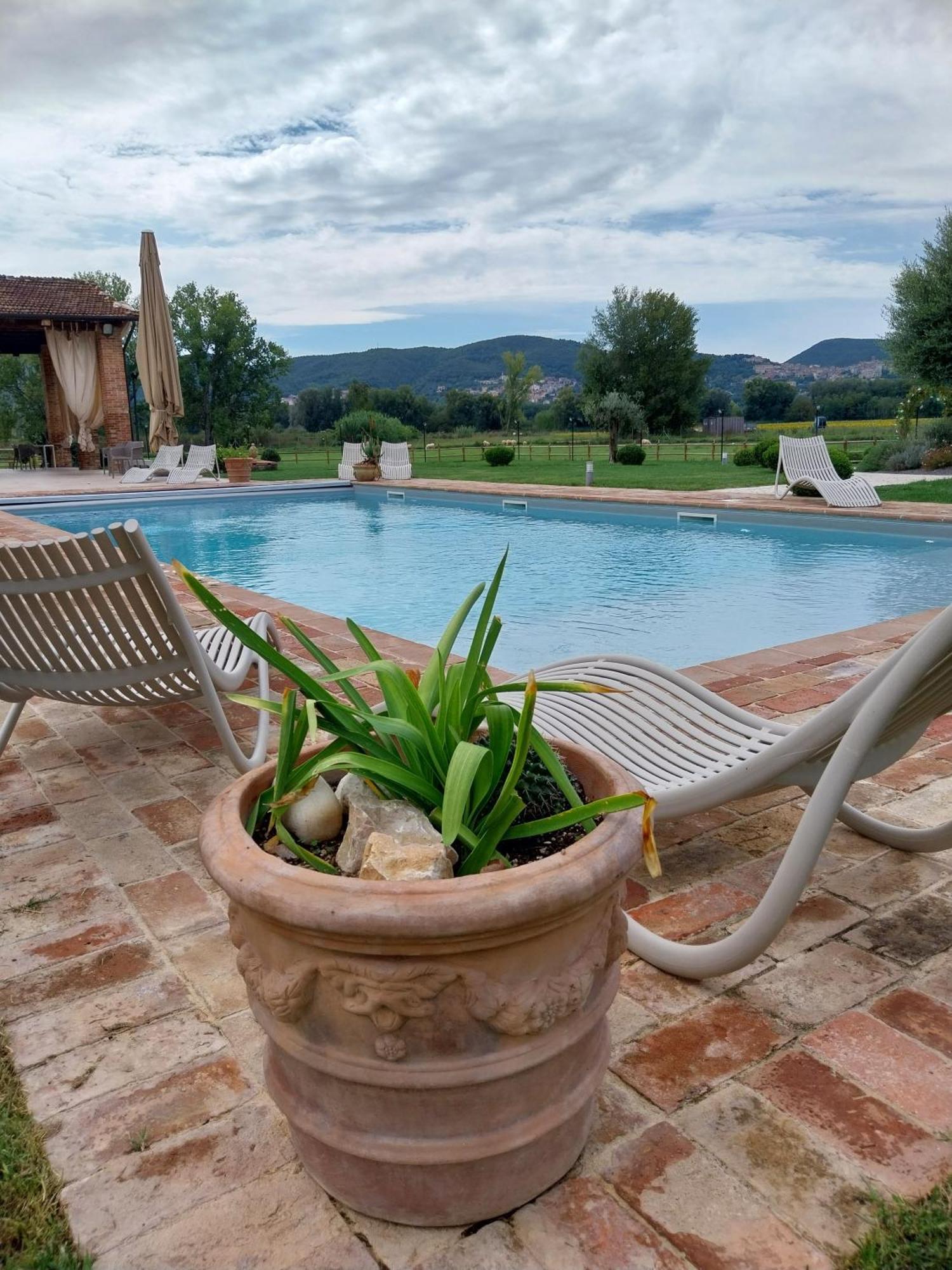 Agriturismo Tenuta Filippi Νάρνη Εξωτερικό φωτογραφία