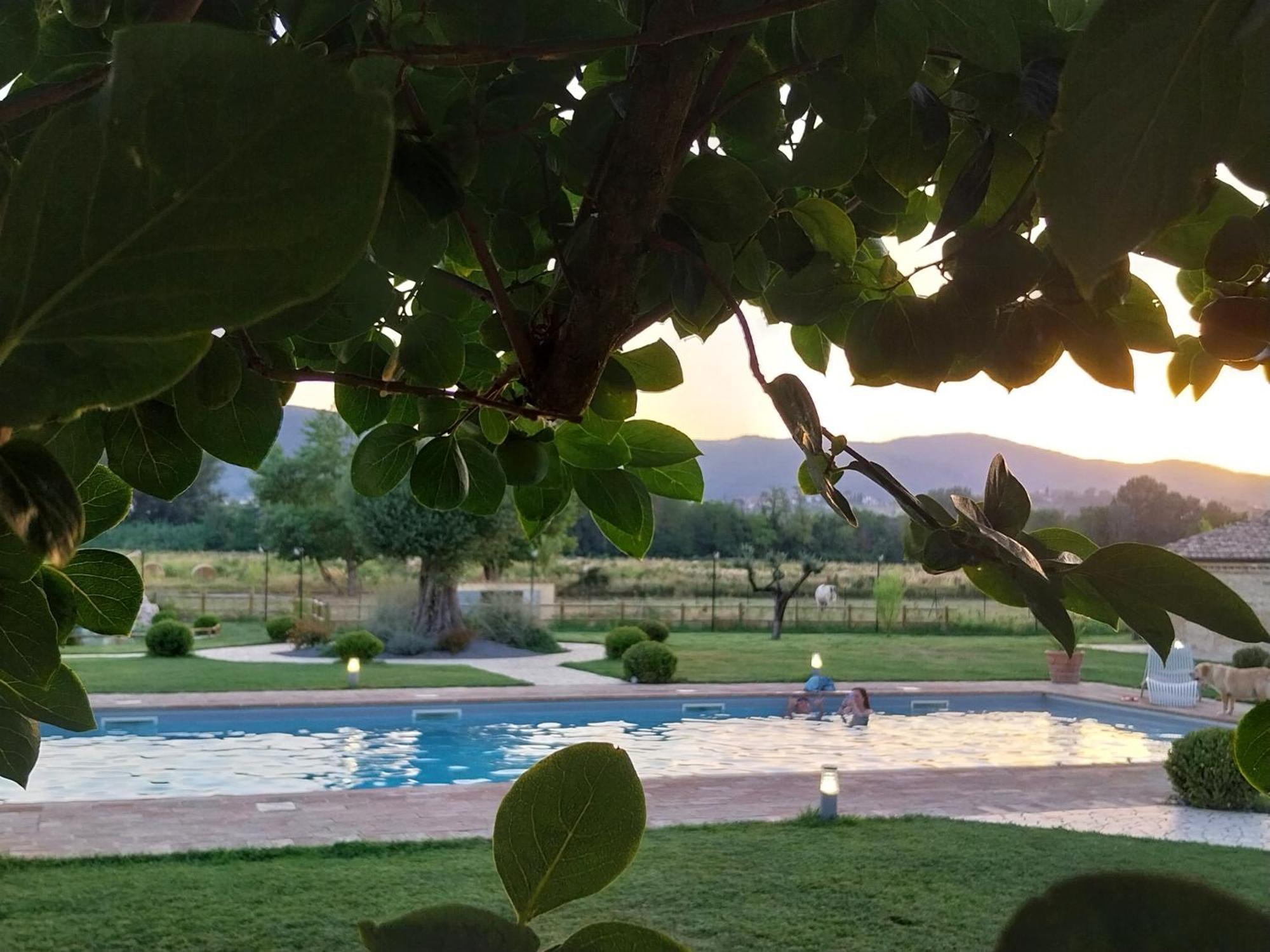 Agriturismo Tenuta Filippi Νάρνη Εξωτερικό φωτογραφία